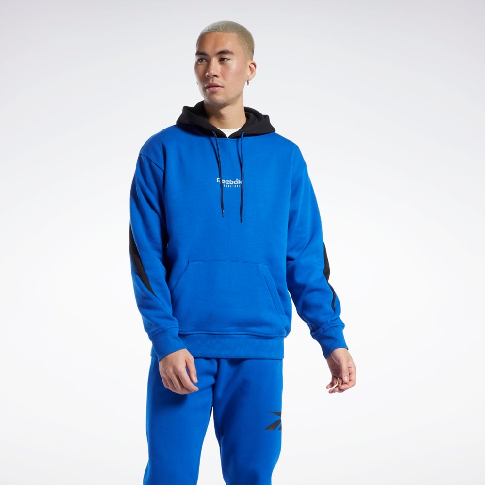 Reebok Basketball Back Vector Fleece Hoodie Sininen | VLXZTY-862