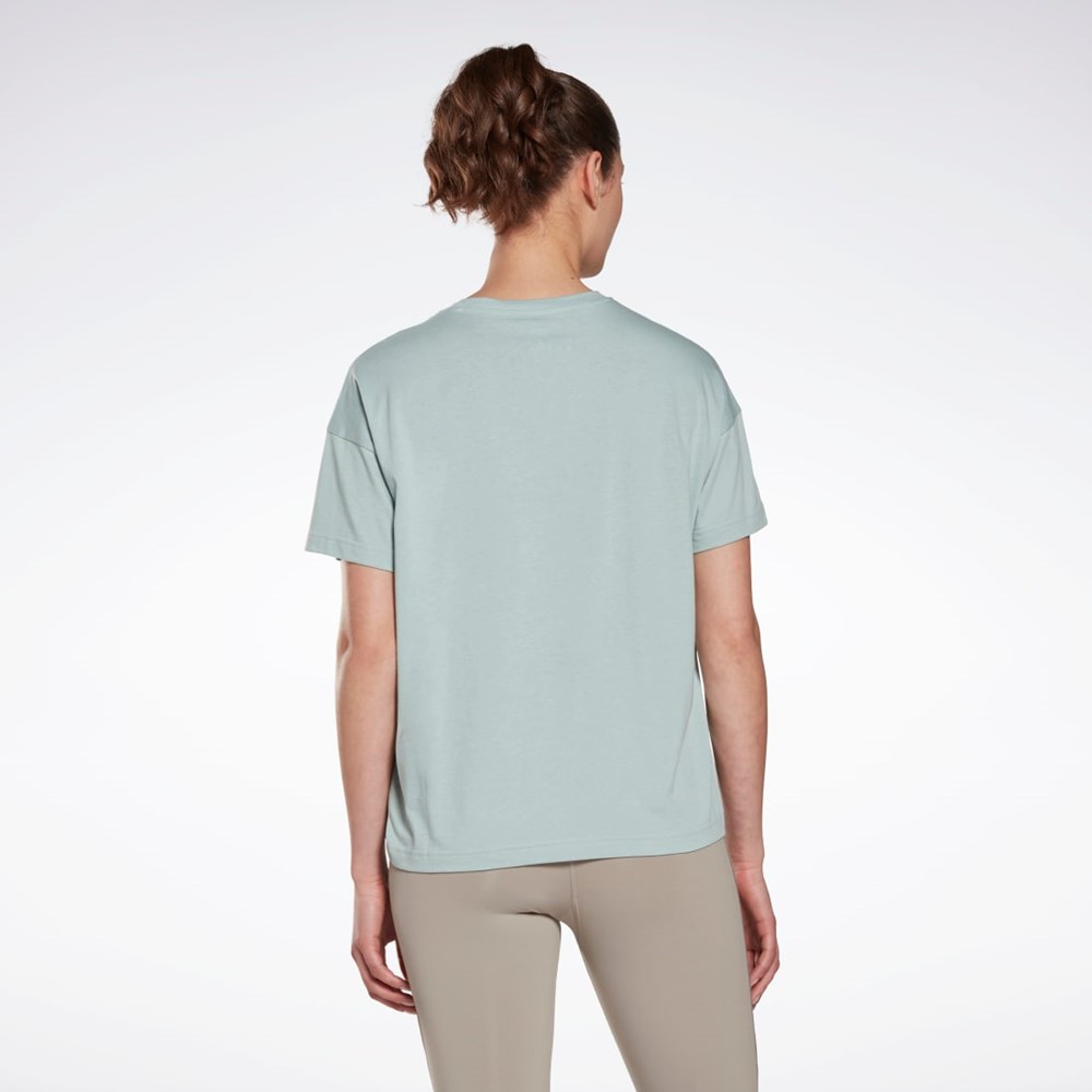 Reebok Brand T-Shirt Harmaat | MSINJR-407