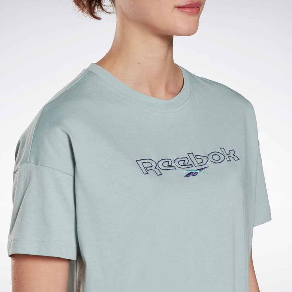 Reebok Brand T-Shirt Harmaat | MSINJR-407
