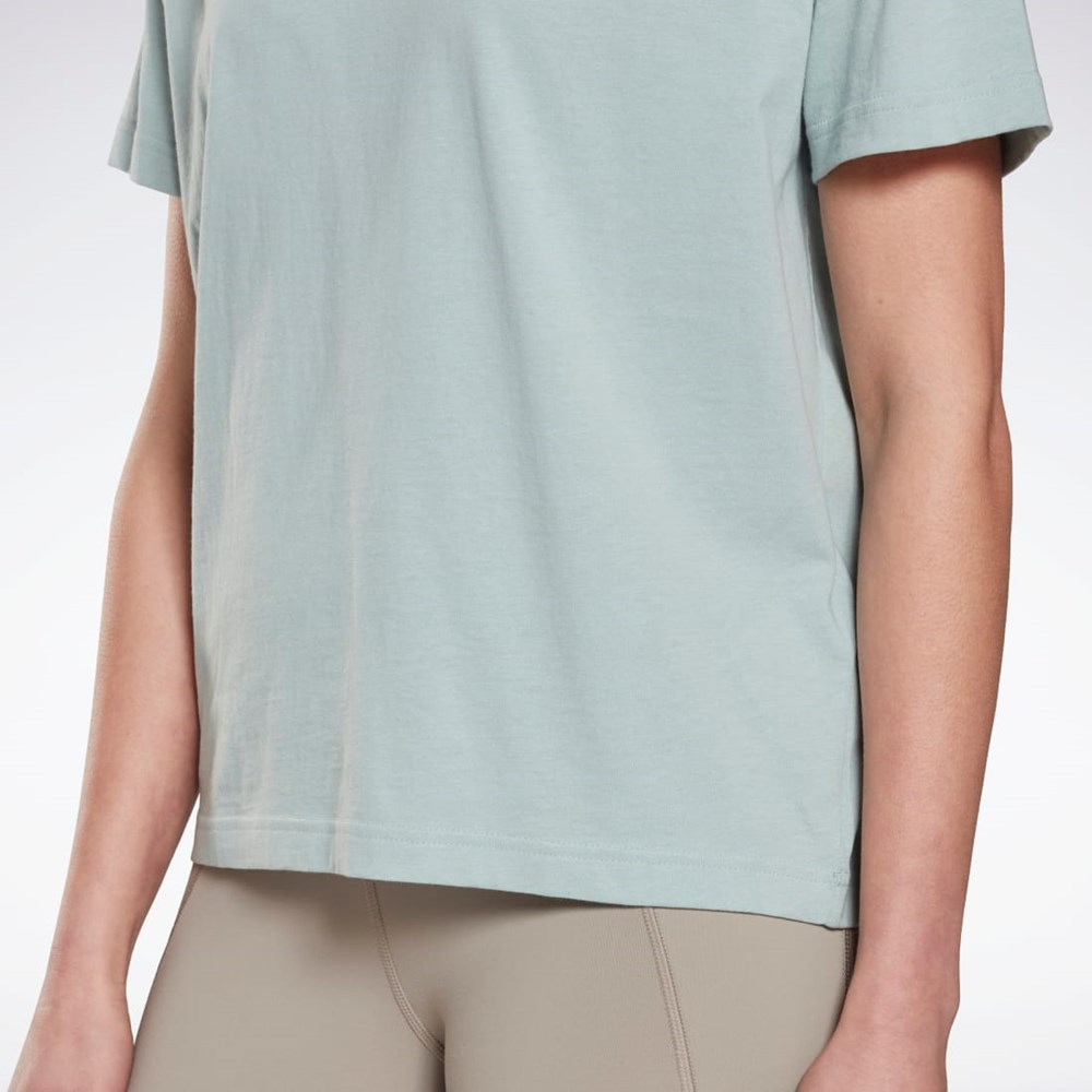 Reebok Brand T-Shirt Harmaat | MSINJR-407