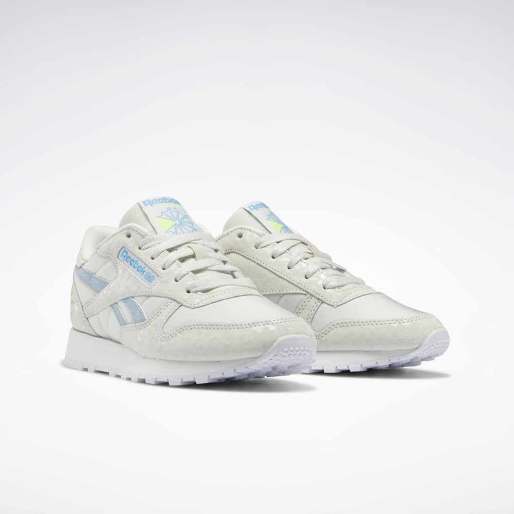 Reebok Classic Leather Shoes Harmaat Valkoinen Harmaat | CQAJIV-439