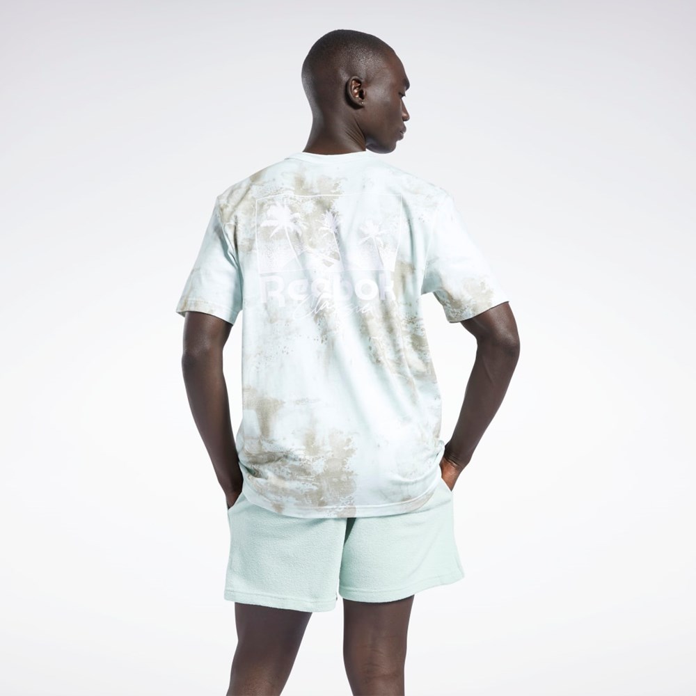 Reebok Classics Allover Print Graafinen T-Shirt Vaalean | ZANGJE-807