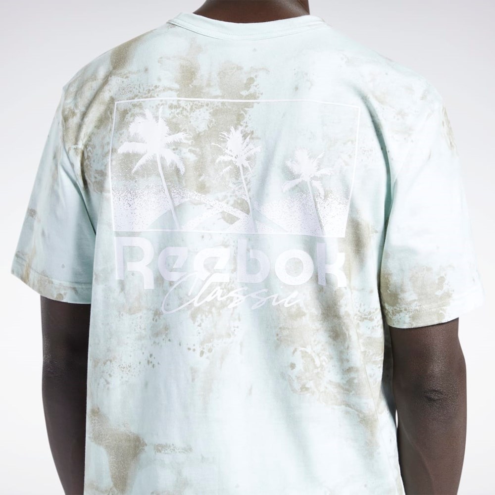 Reebok Classics Allover Print Graafinen T-Shirt Vaalean | ZANGJE-807