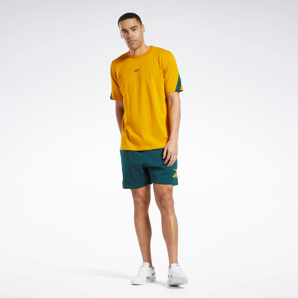 Reebok Classics Brand Proud T-Shirt Bright Ochre | DRGHMO-308