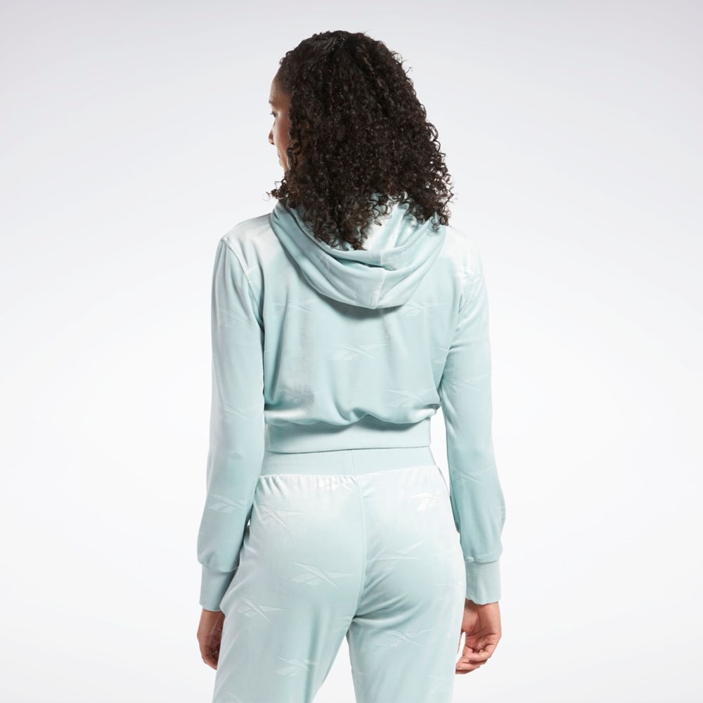 Reebok Classics Energy Q4 Velour Zip-Up Sweatshirt Harmaat | HGDTSI-290