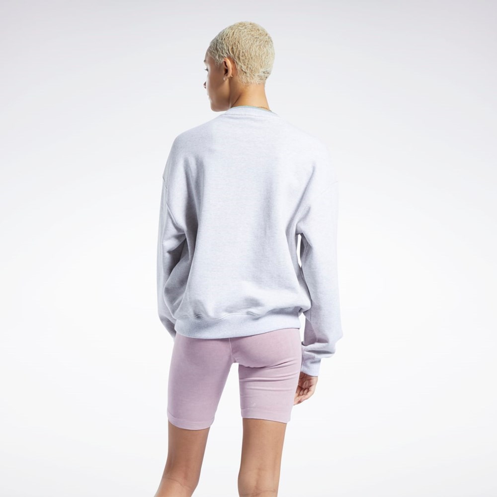 Reebok Classics Graafinen Sweatshirt Vaaleanharmaat | FQGAMT-236