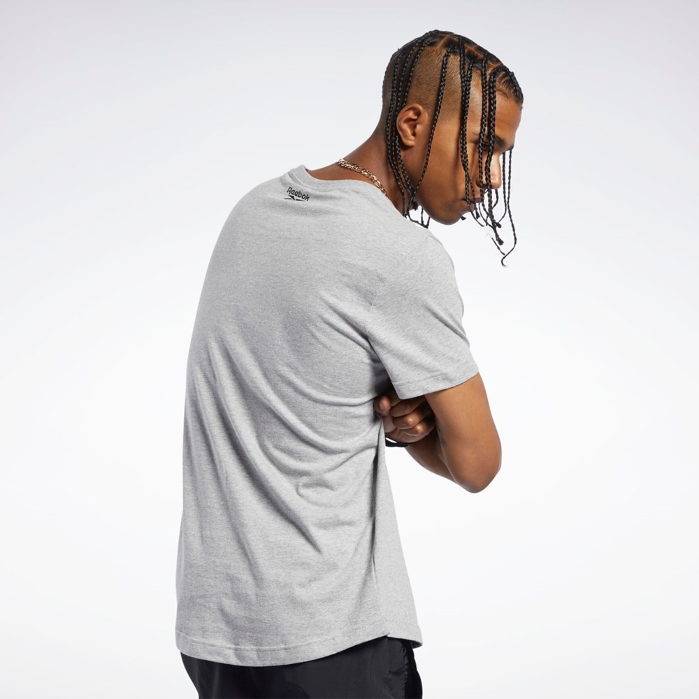 Reebok Classics Graafinen Tee Harmaat | UGOBSC-194