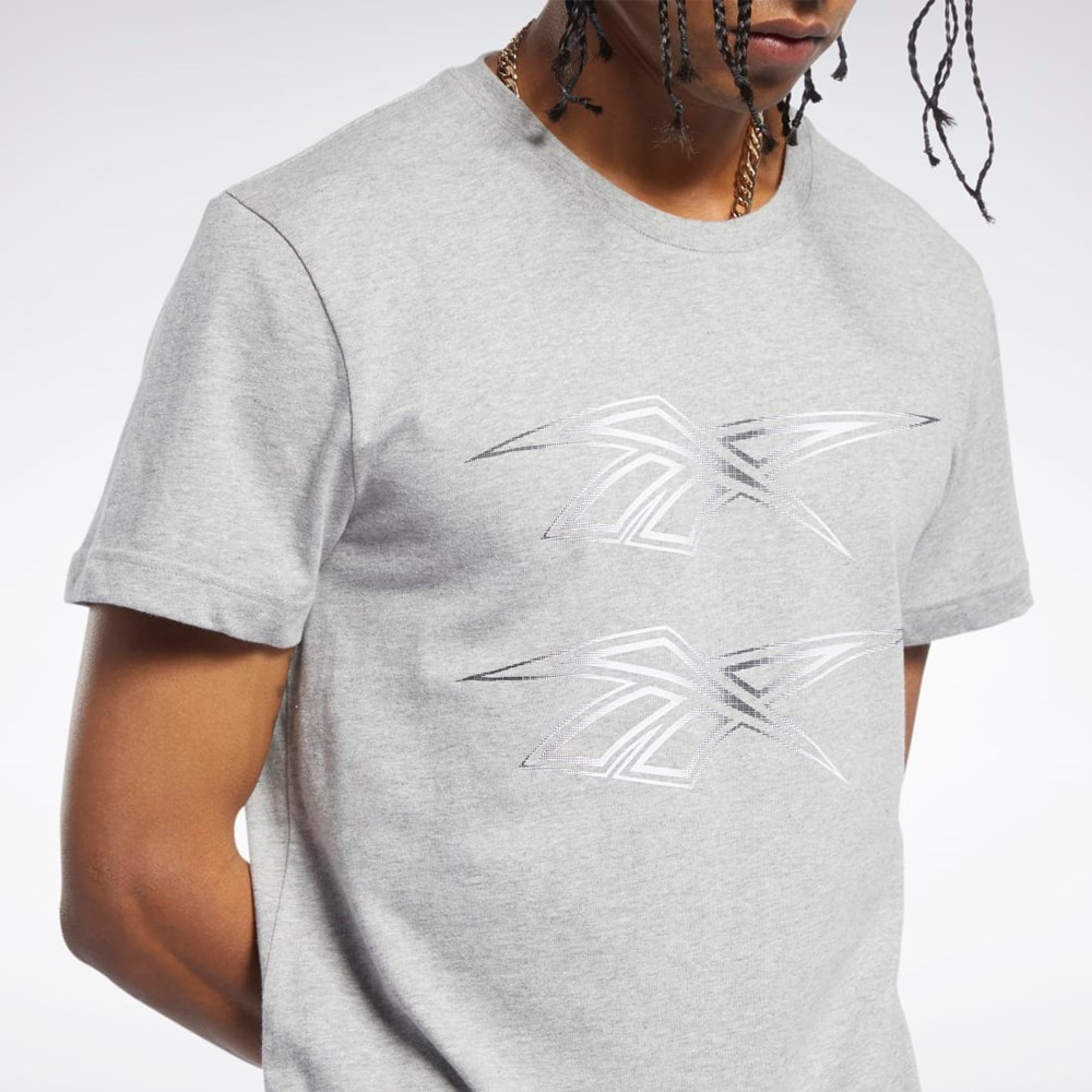 Reebok Classics Graafinen Tee Harmaat | UGOBSC-194