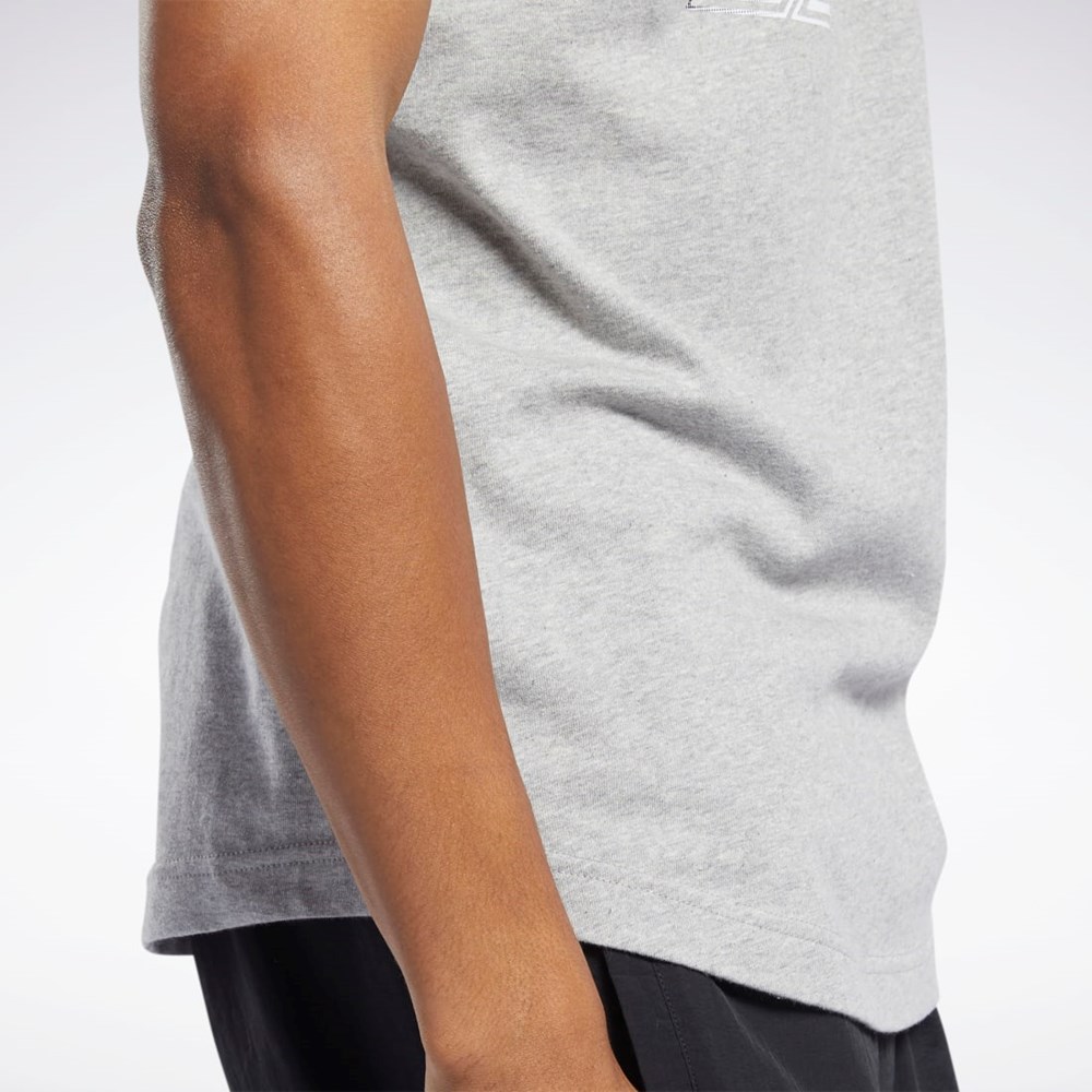 Reebok Classics Graafinen Tee Harmaat | UGOBSC-194