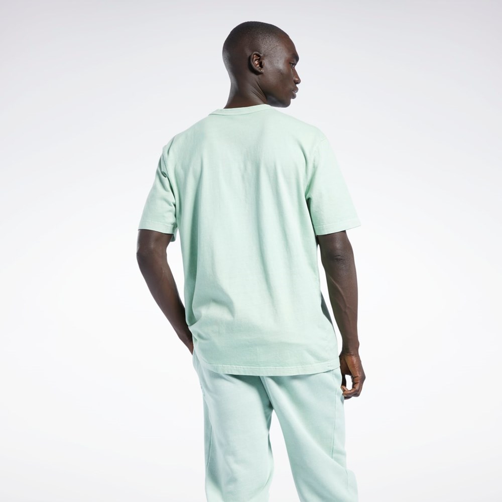 Reebok Classics Natural Dye T-Shirt Vaalean | EKOUSI-830