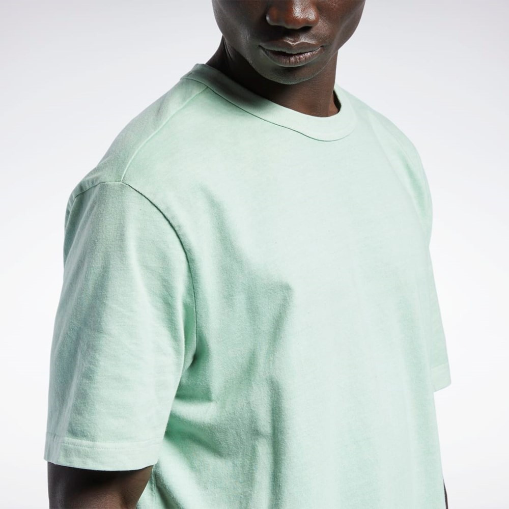 Reebok Classics Natural Dye T-Shirt Vaalean | EKOUSI-830