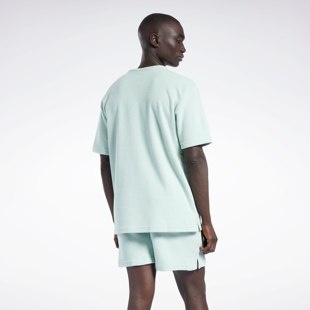 Reebok Classics Terry T-Shirt Vaalean | LKOPWI-274