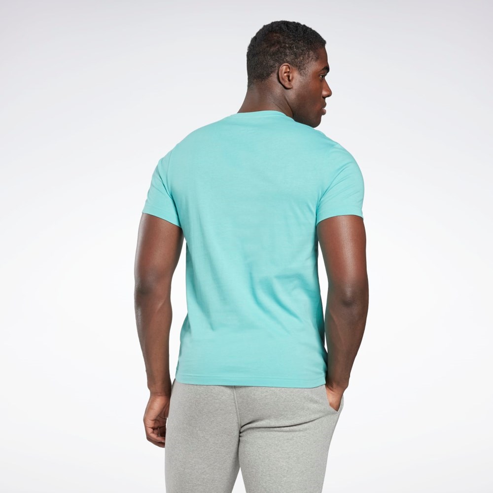 Reebok Graafinen Series Linear Logo Tee Semi Classic Teal | QGVHRB-328