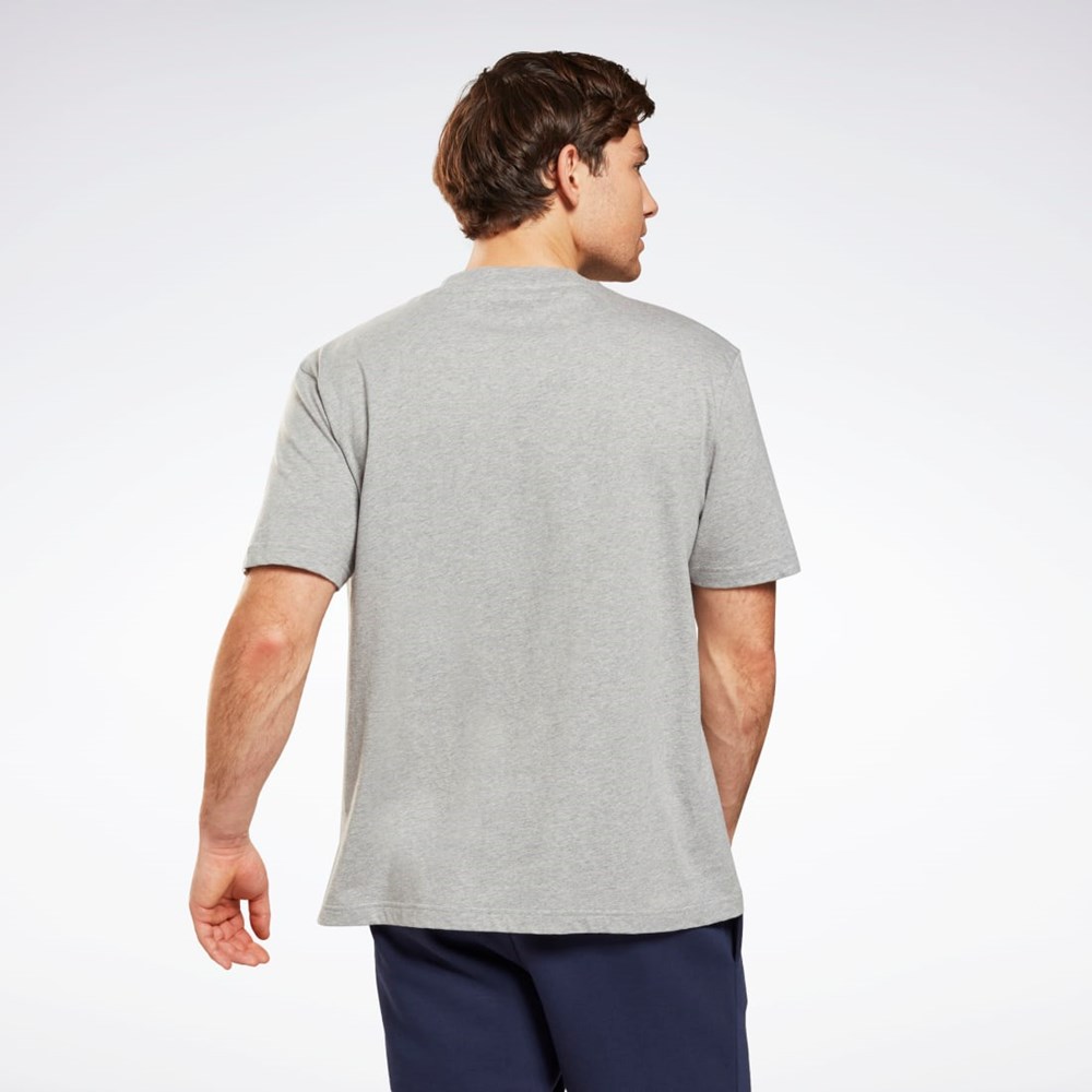 Reebok Graafinen Series T-Shirt Harmaat | WYGPND-932