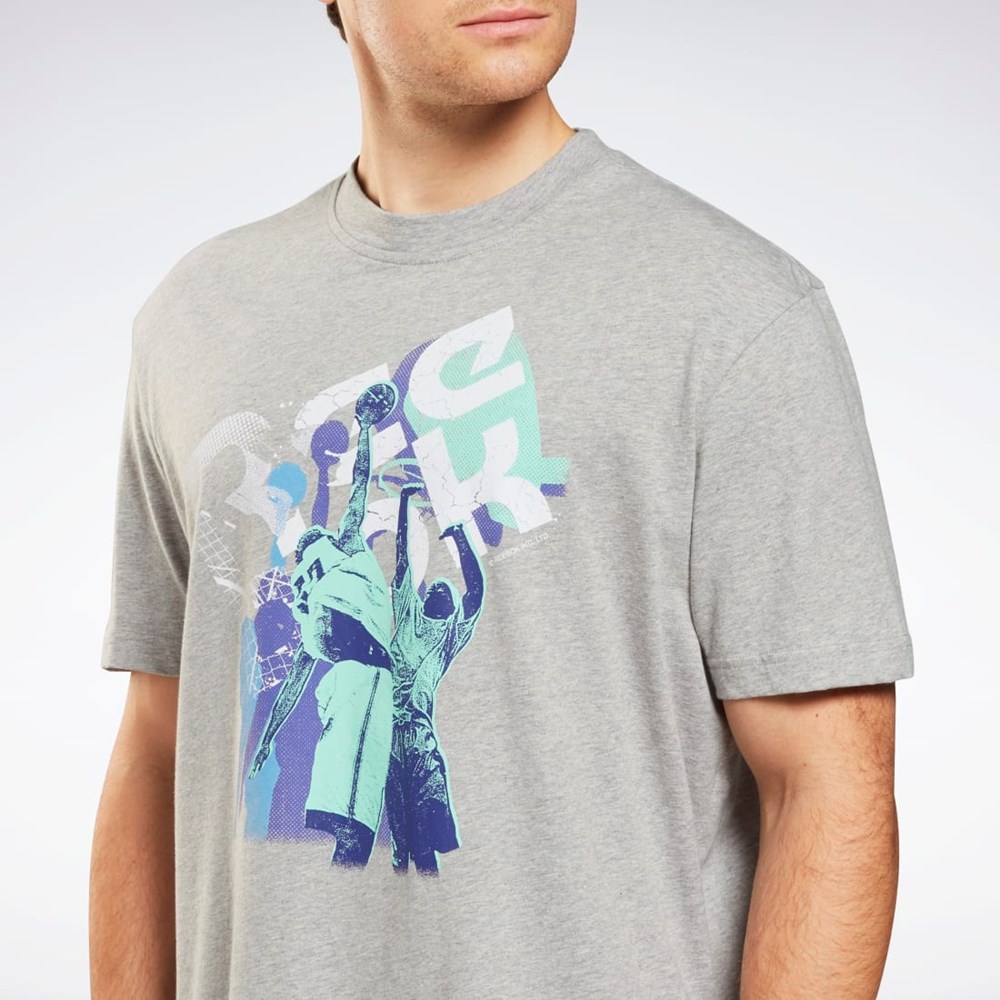 Reebok Graafinen Series T-Shirt Harmaat | WYGPND-932