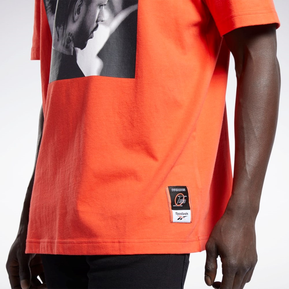 Reebok Iverson Basketball I3 Blue Print Lyhyt Sleeve T-Shirt Punainen | MROVHJ-461