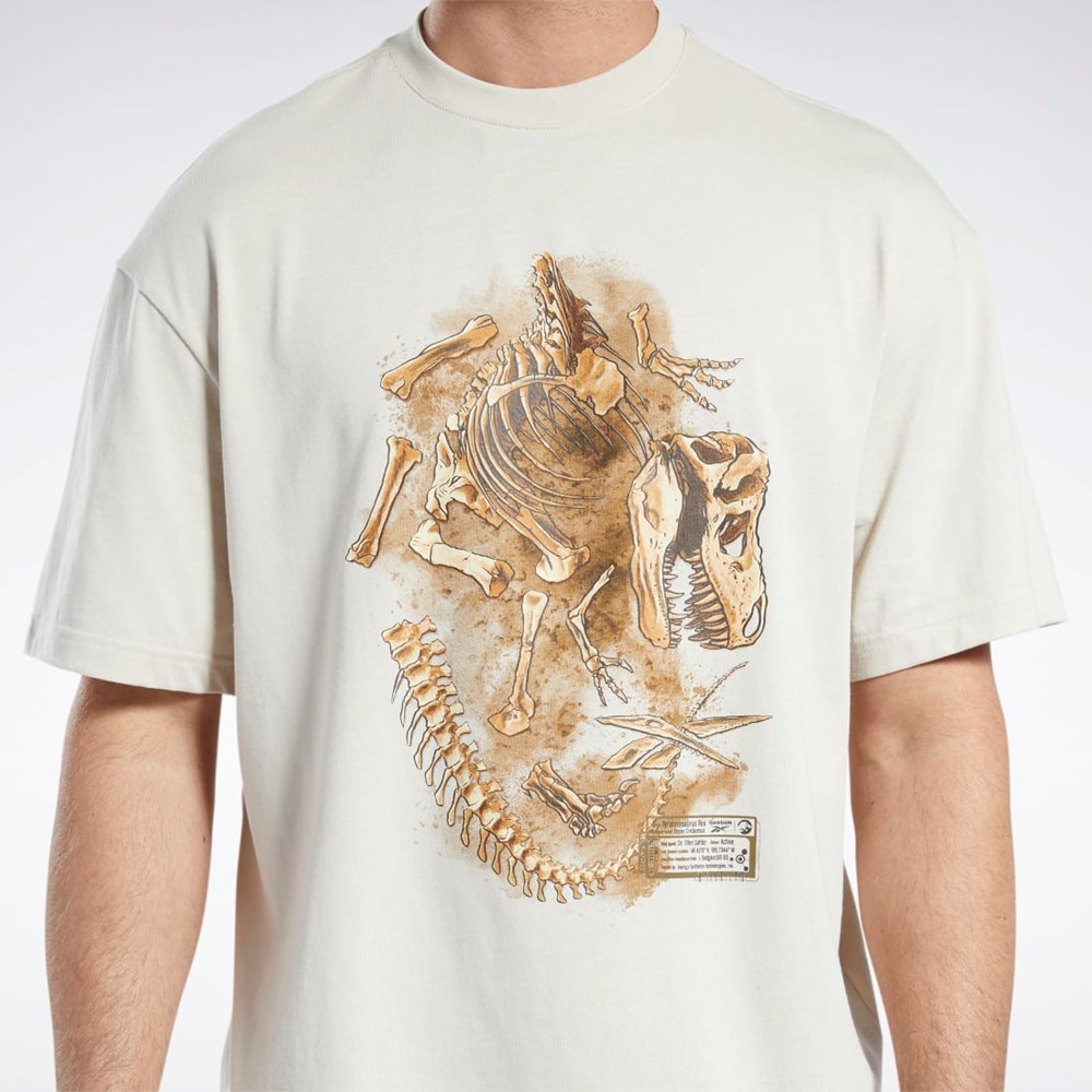 Reebok Jurassic World Fossil T-Shirt Stucco | KTZOMR-714
