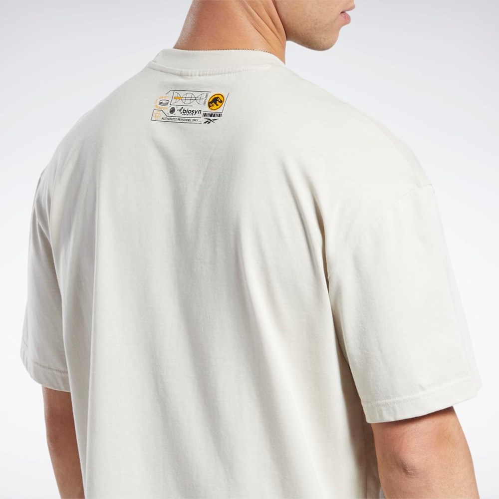 Reebok Jurassic World Fossil T-Shirt Stucco | KTZOMR-714