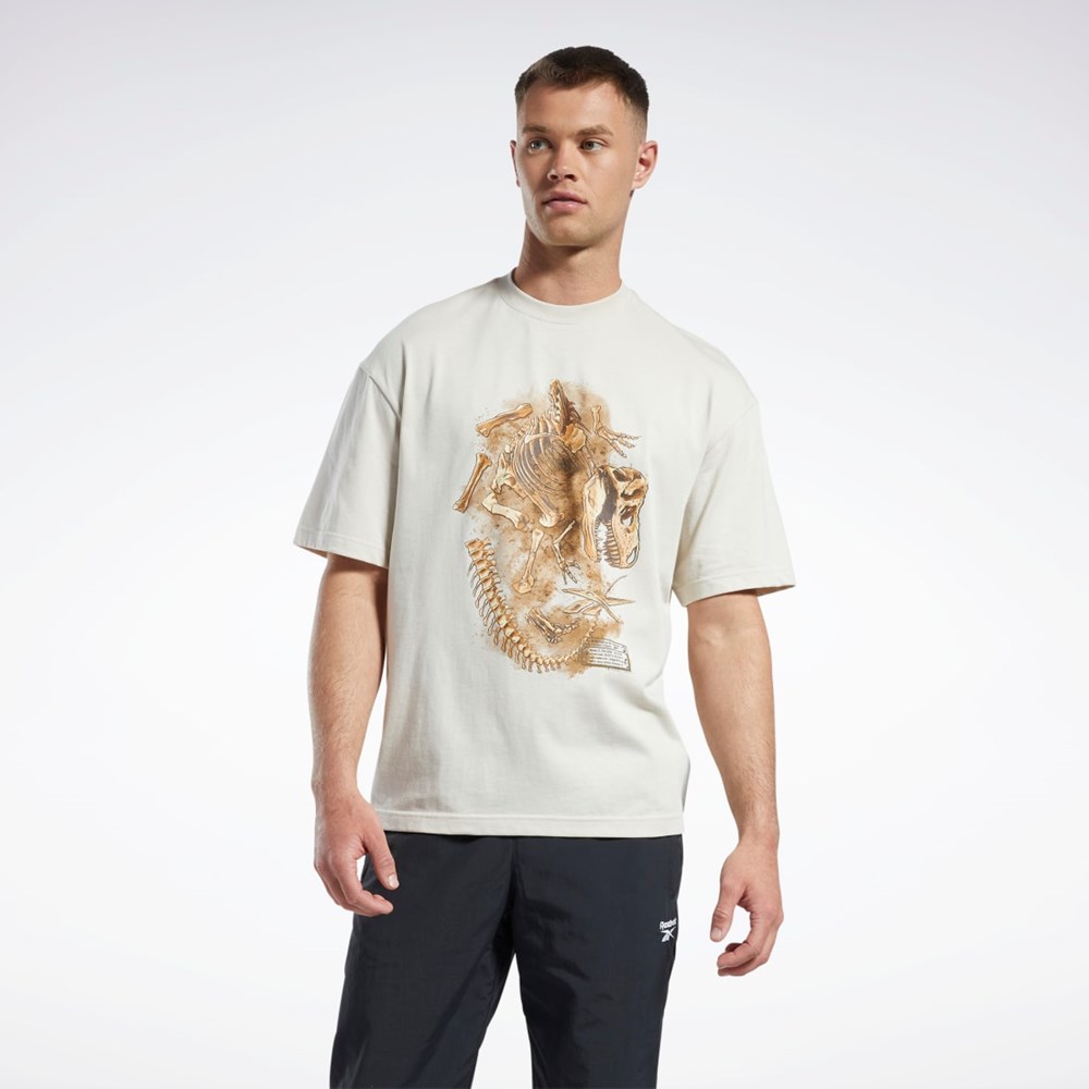 Reebok Jurassic World Fossil T-Shirt Stucco | KTZOMR-714