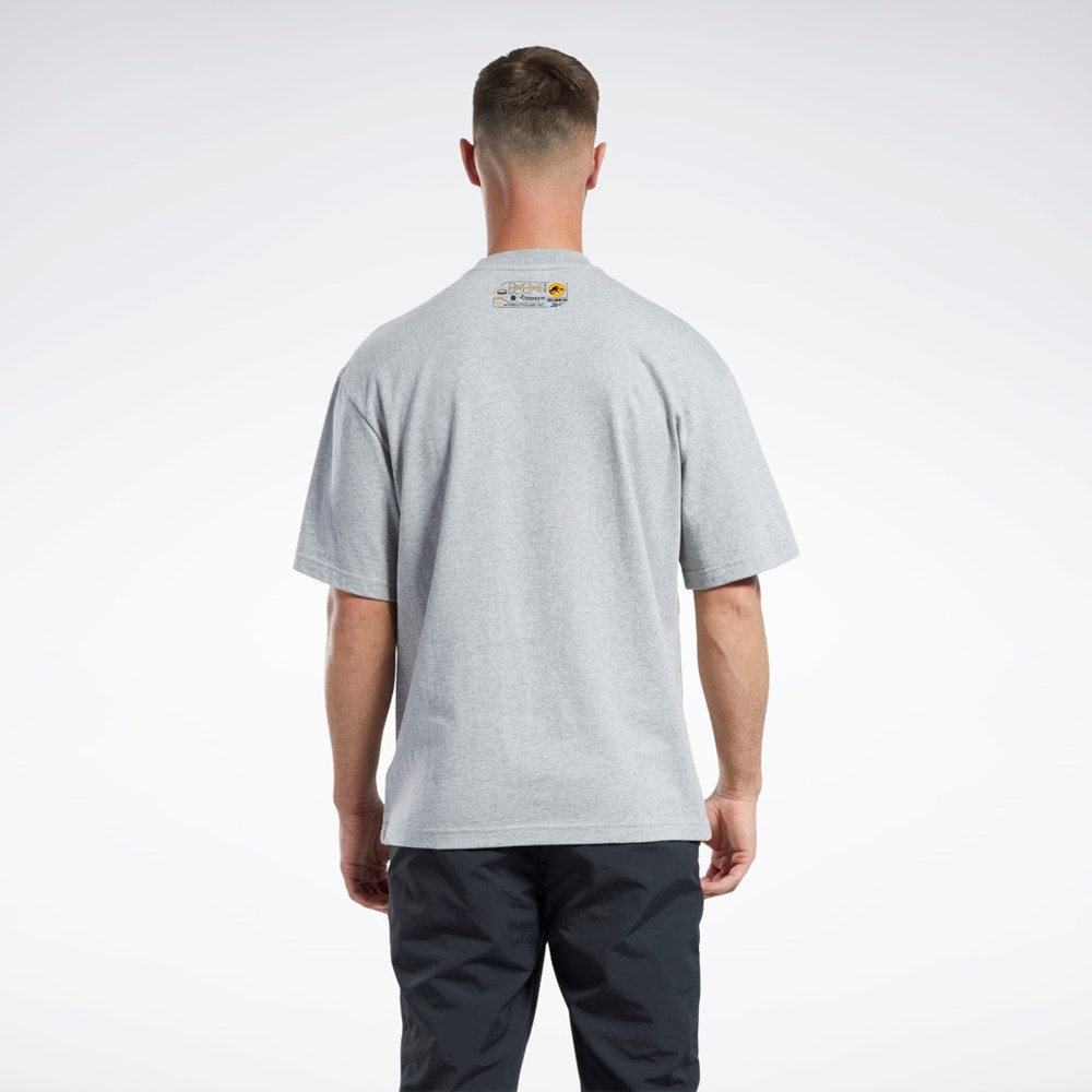 Reebok Jurassic World T-Shirt Harmaat | DAZIQM-726