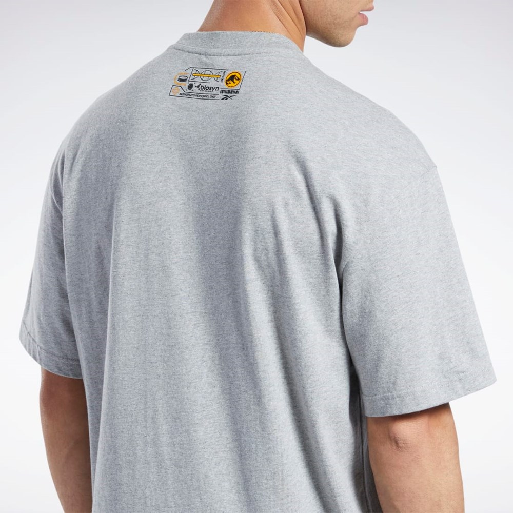Reebok Jurassic World T-Shirt Harmaat | DAZIQM-726