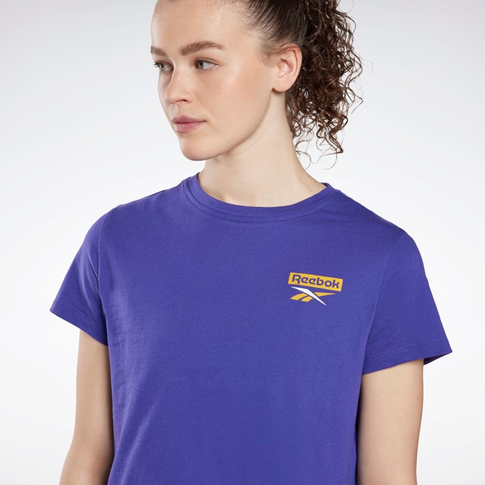 Reebok Koulutus Essentials Graafinen T-Shirt Violetit | VZNMWI-307