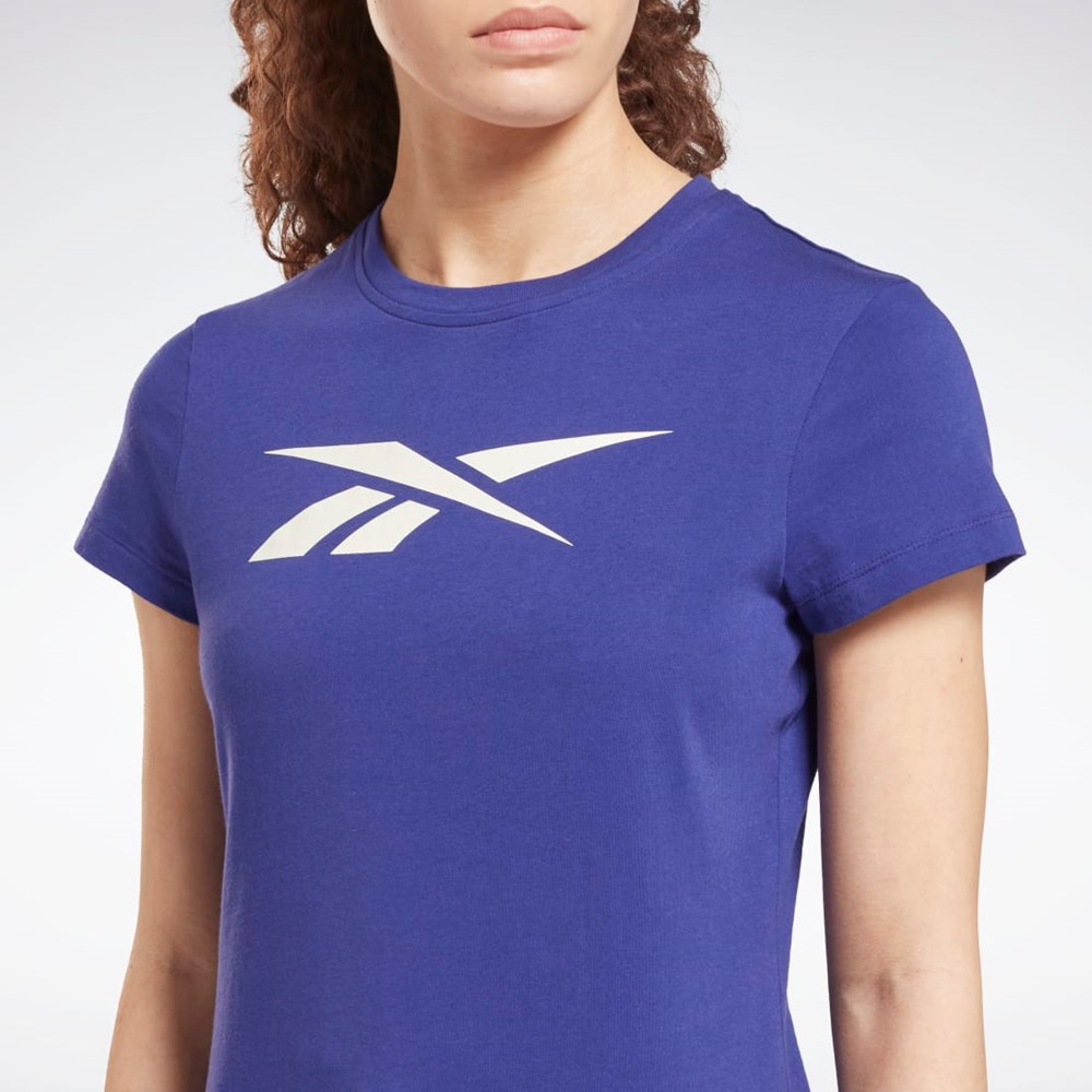 Reebok Koulutus Essentials Vector Graafinen Tee Violetit | MVHIKB-691