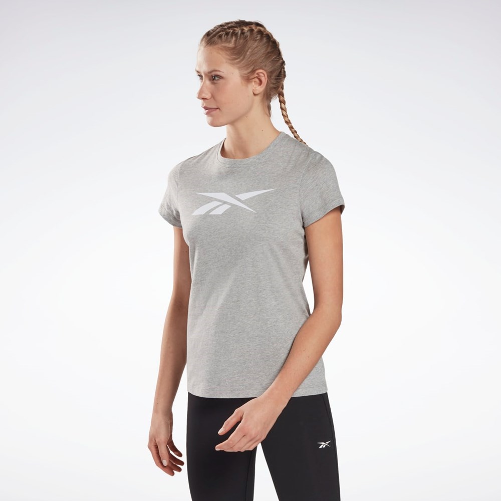 Reebok Koulutus Essentials Vector Graafinen Tee Harmaat | UDHQCW-130