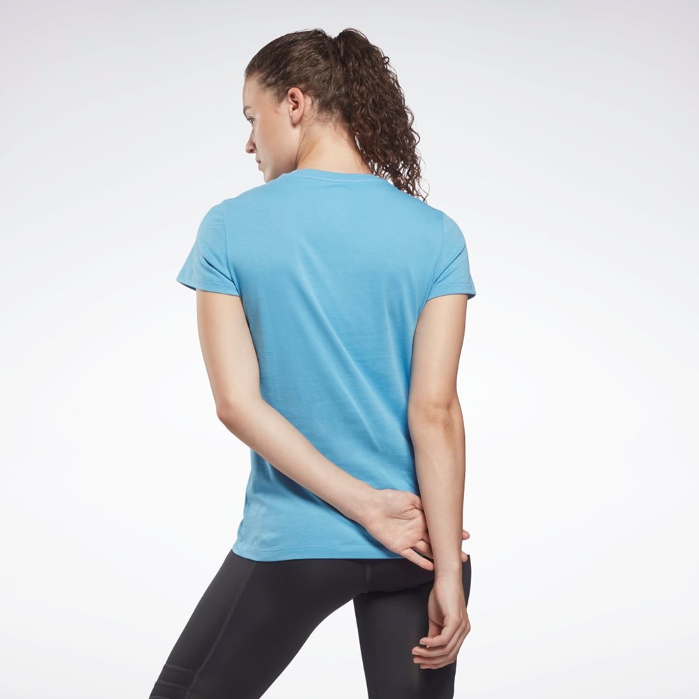 Reebok Koulutus Essentials Vector Graafinen Tee Sininen | YWCBRH-906