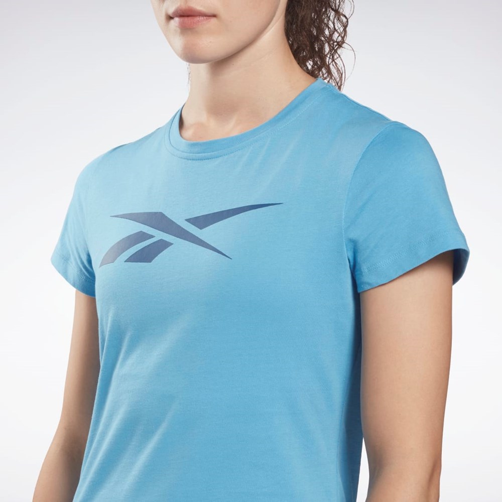 Reebok Koulutus Essentials Vector Graafinen Tee Sininen | YWCBRH-906