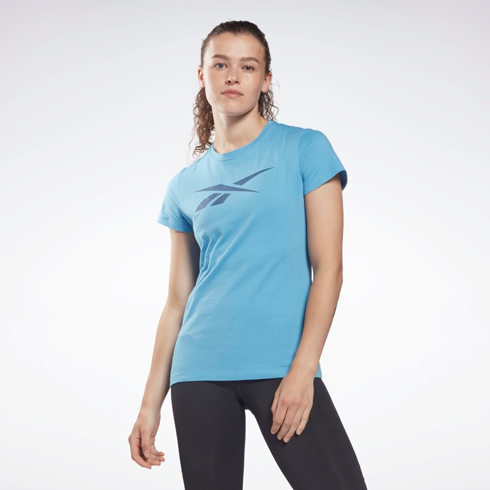 Reebok Koulutus Essentials Vector Graafinen Tee Sininen | YWCBRH-906