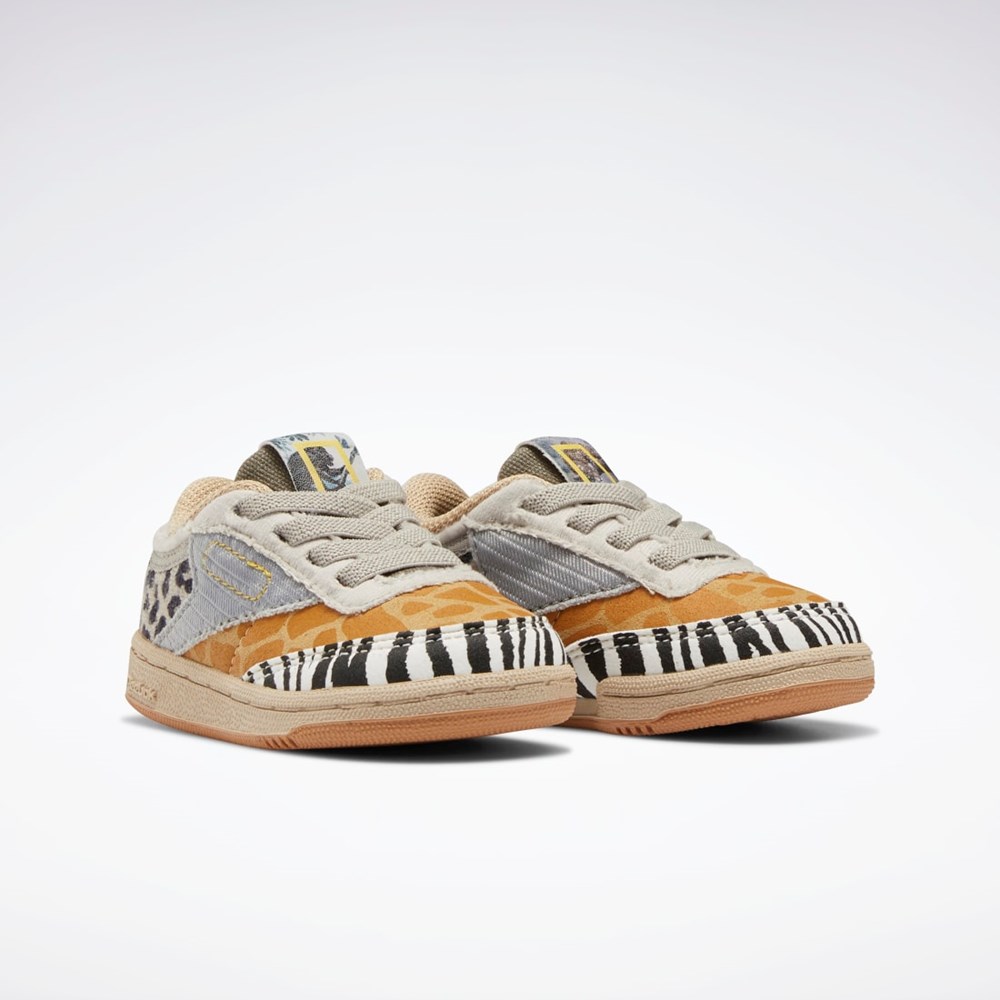 Reebok National Geographic Club C Shoes - Toddler Oatmeal / Sand Stone / Soft Camel | JWRFGT-092