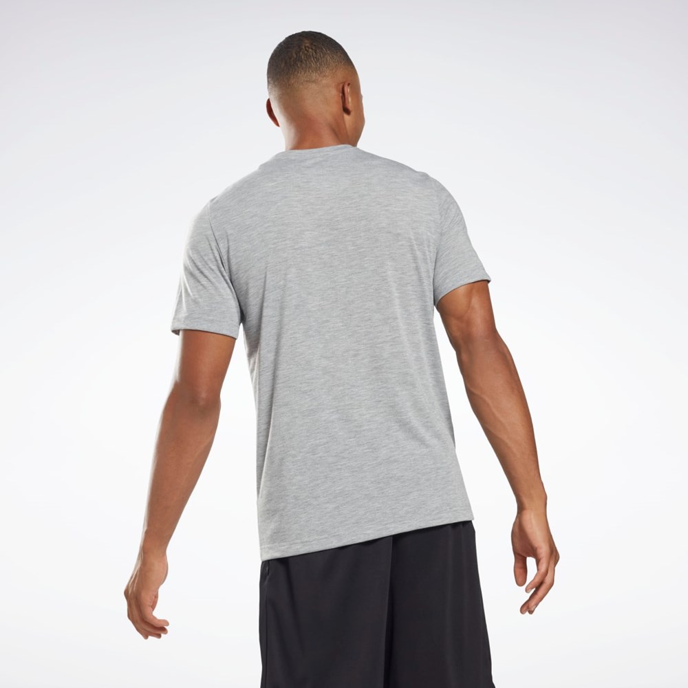 Reebok Reebok Graafinen Series T-Shirt Harmaat | JFZTLA-190
