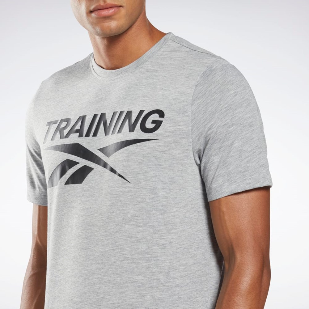 Reebok Reebok Graafinen Series T-Shirt Harmaat | JFZTLA-190