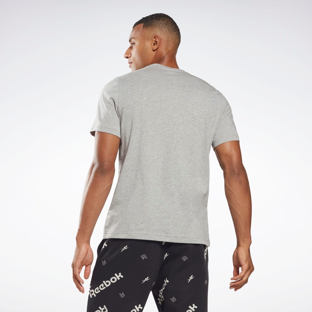 Reebok Reebok Graafinen Series Vector T-Shirt Harmaat | IJEMQC-961