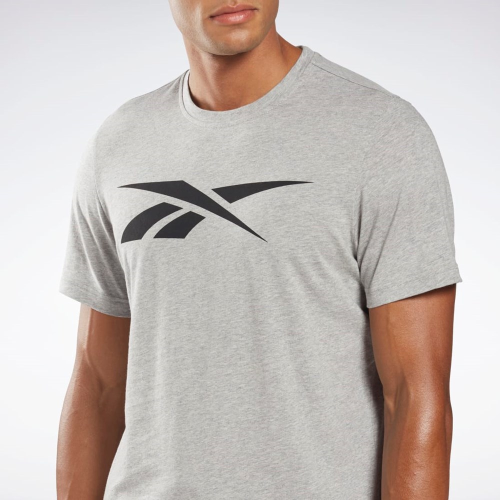 Reebok Reebok Graafinen Series Vector T-Shirt Harmaat | IJEMQC-961