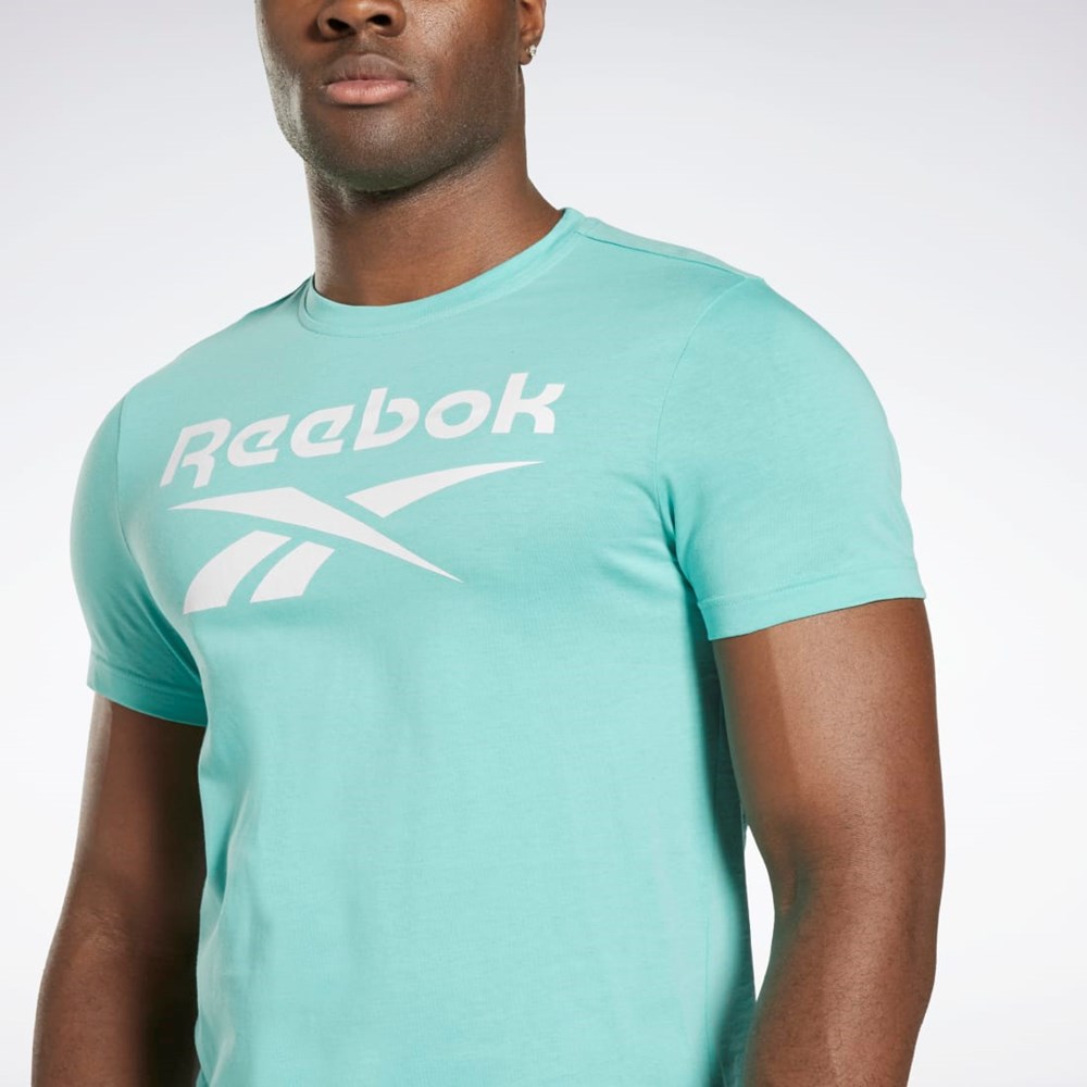 Reebok Reebok Identity Big Logo T-Shirt Semi Classic Teal | BUZCWY-052