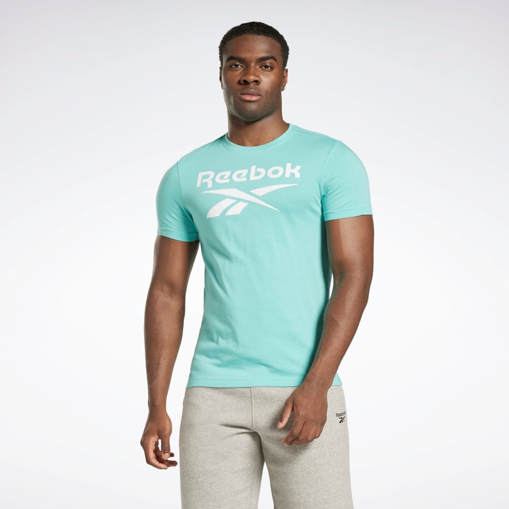 Reebok Reebok Identity Big Logo T-Shirt Semi Classic Teal | BUZCWY-052