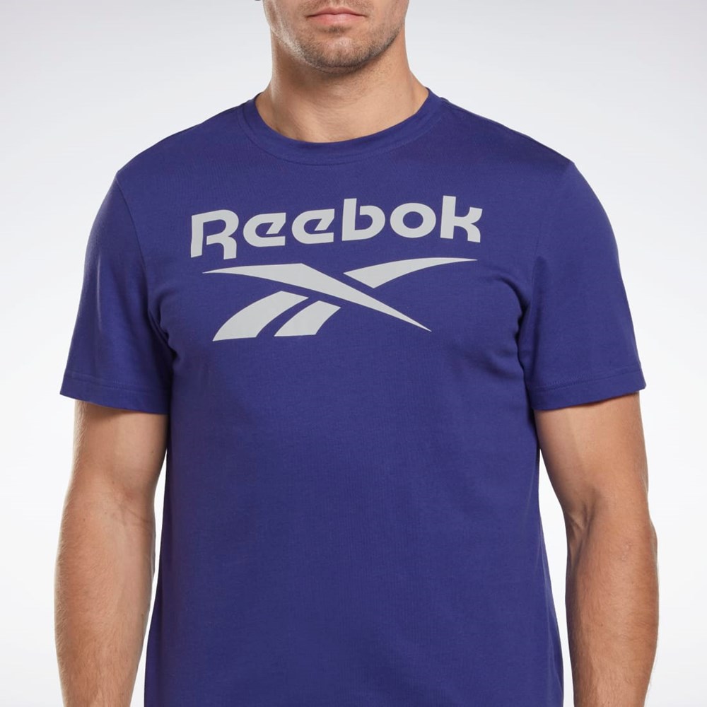 Reebok Reebok Identity Big Logo T-Shirt Violetit | CWOBZR-596