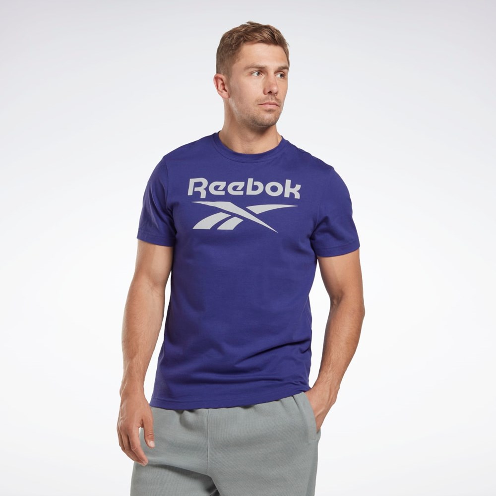 Reebok Reebok Identity Big Logo T-Shirt Violetit | CWOBZR-596