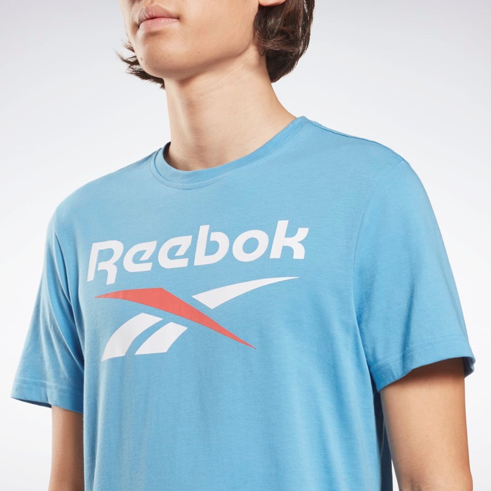 Reebok Reebok Identity Big Logo T-Shirt Sininen | CXATHB-472