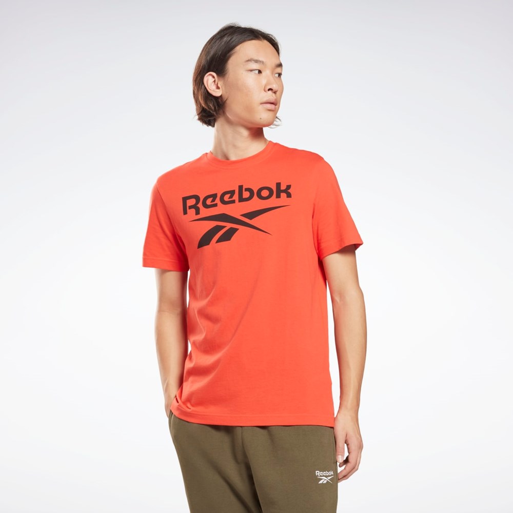 Reebok Reebok Identity Big Logo T-Shirt Punainen | LYWBTU-187