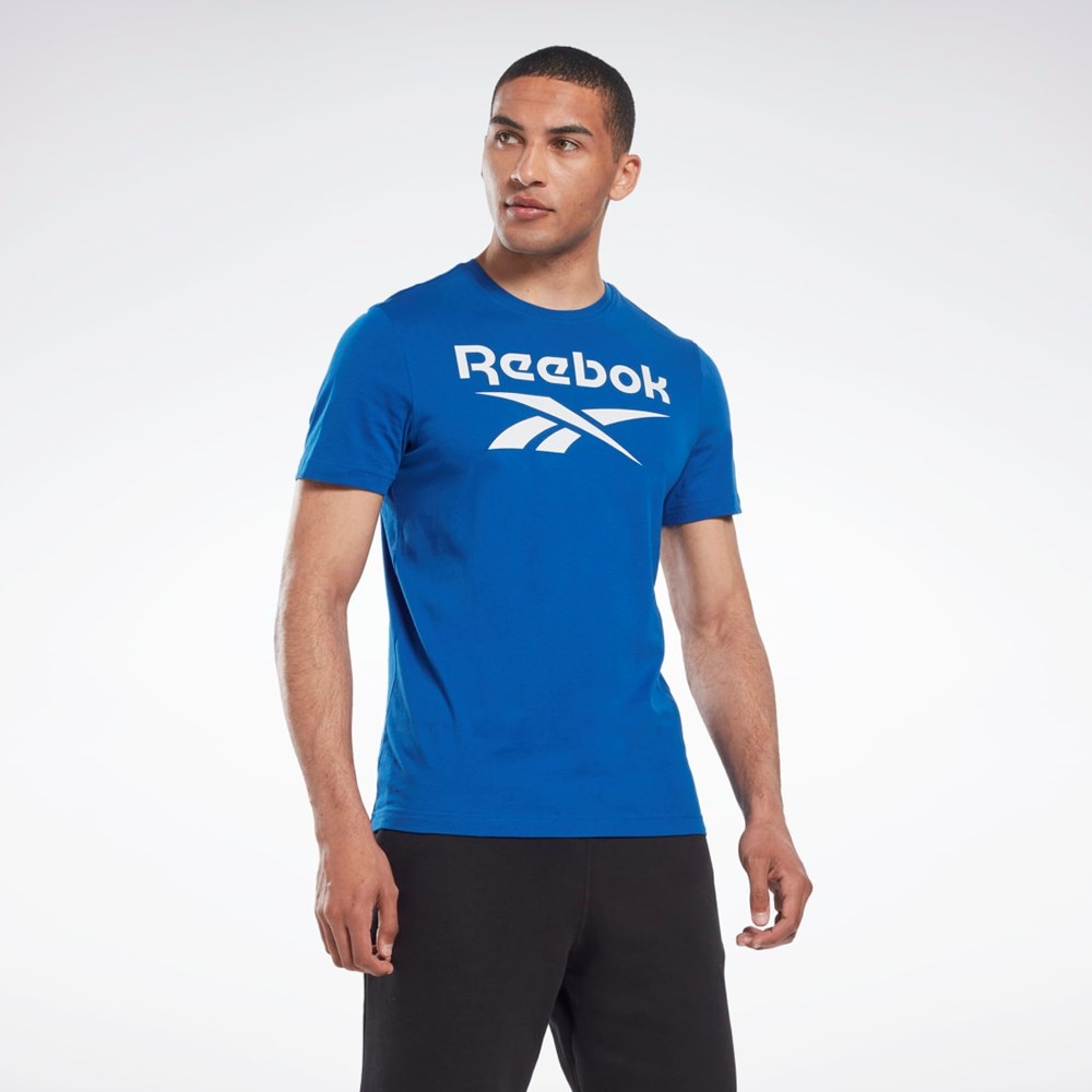Reebok Reebok Identity Big Logo T-Shirt Sininen | NLOHFJ-341
