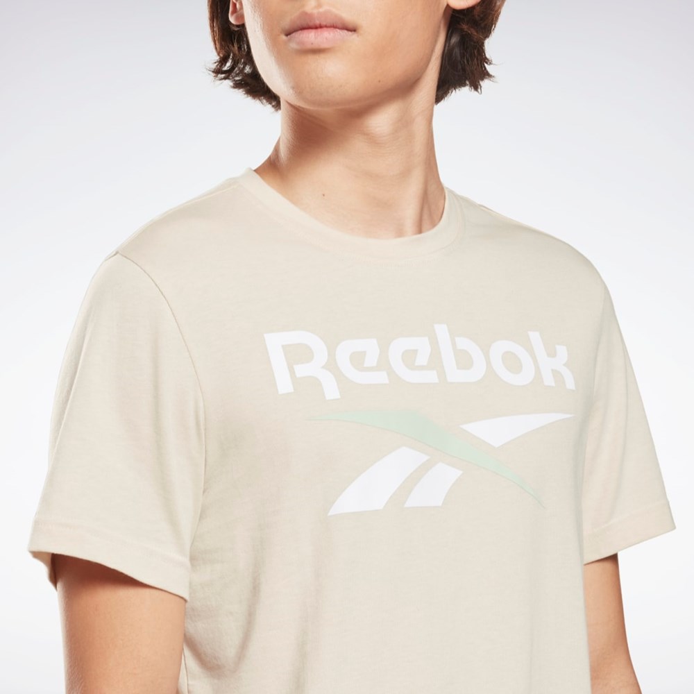 Reebok Reebok Identity Big Logo T-Shirt Stucco | QFRPYE-873