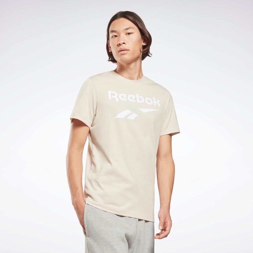 Reebok Reebok Identity Big Logo T-Shirt Stucco | QFRPYE-873