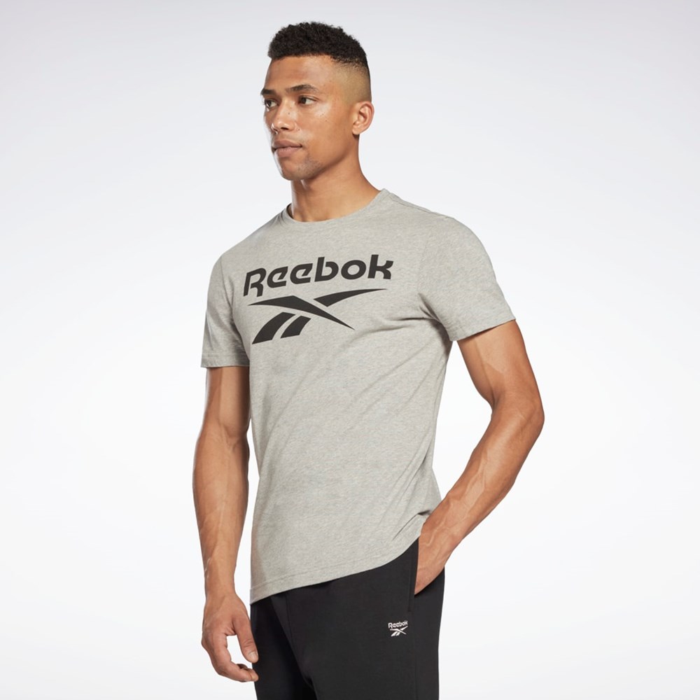 Reebok Reebok Identity Big Logo T-Shirt Harmaat | SDRWJL-734
