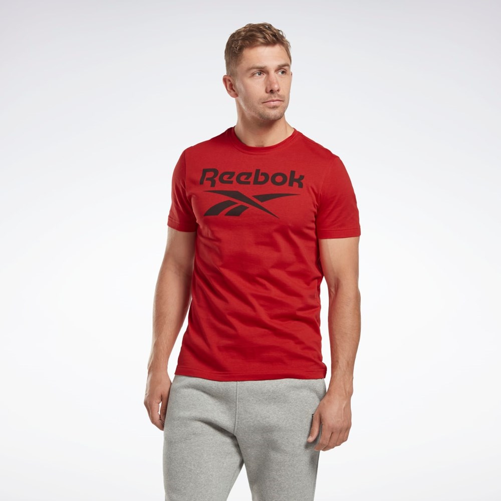 Reebok Reebok Identity Big Logo T-Shirt Punainen | TKYCSL-138
