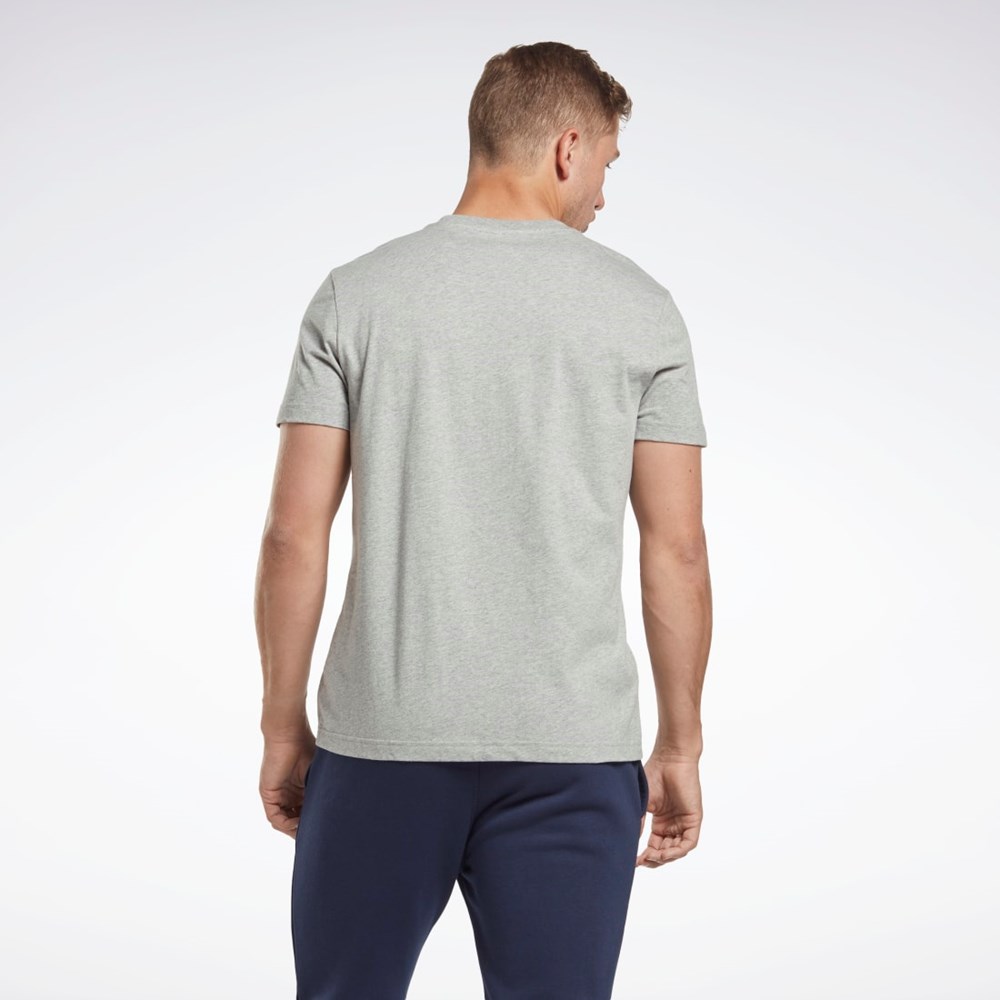 Reebok Reebok Identity Classics T-Shirt Harmaat | GADTML-178
