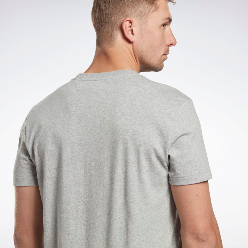 Reebok Reebok Identity Classics T-Shirt Harmaat | GADTML-178