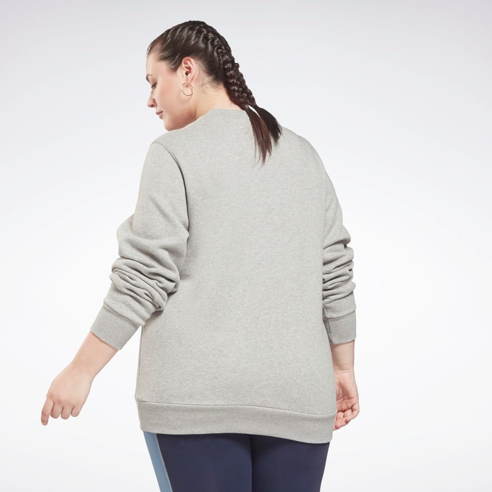 Reebok Reebok Identity Logo Fleece Crew Sweatshirt (Plus Size) Harmaat | TADGKM-470